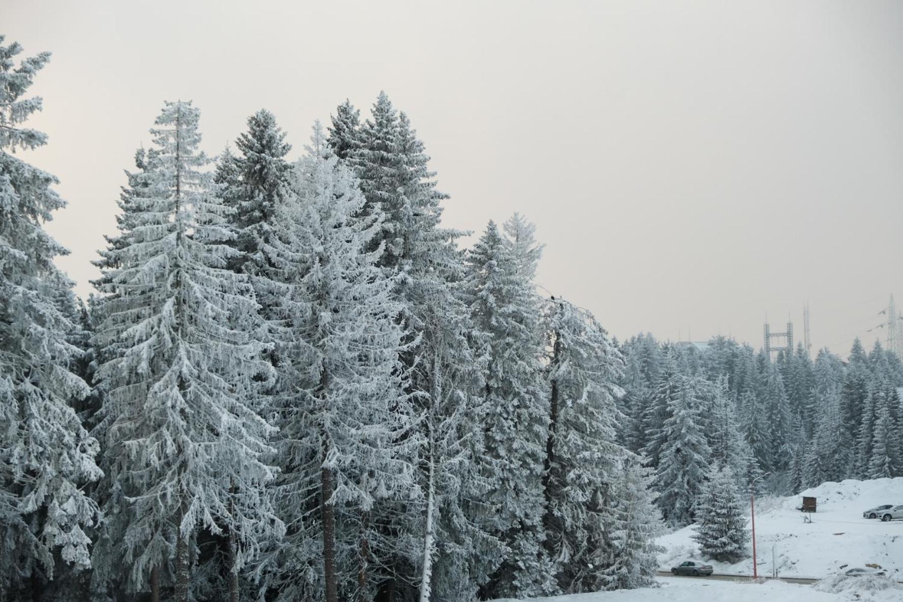 Apartments Pavle Kopaonik Esterno foto
